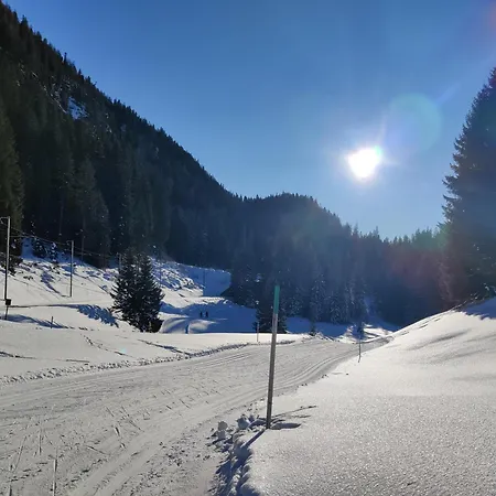 2,5 Zi Dischma 20 Tinzenblick Apartment Davos
